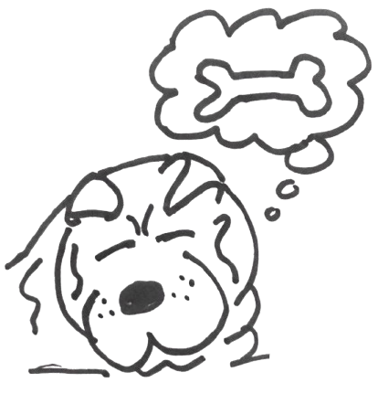 that dog