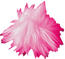 Tribble Adoption Services